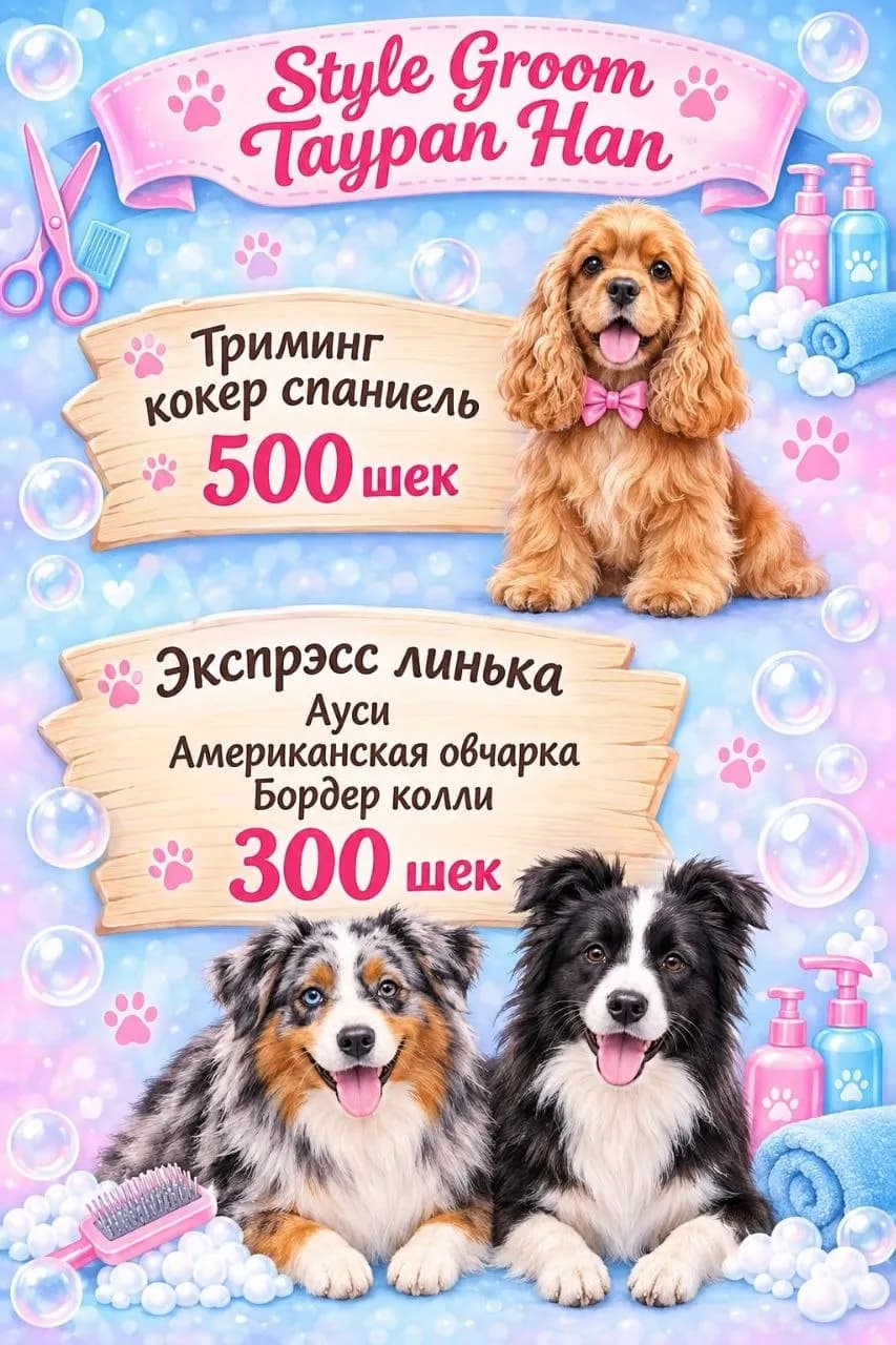 Taypan Han Style Groom — Dog and Cat Grooming
