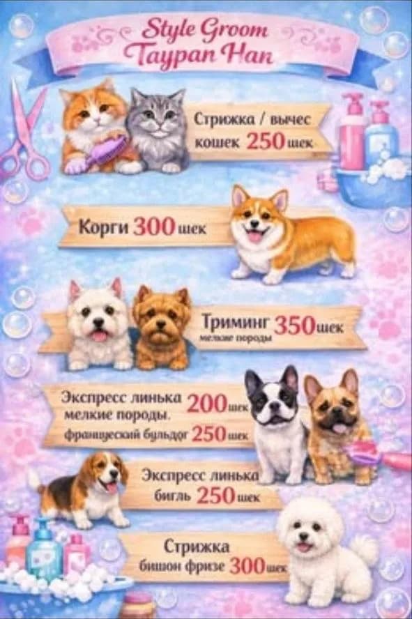 Taypan Han Style Groom — Dog and Cat Grooming