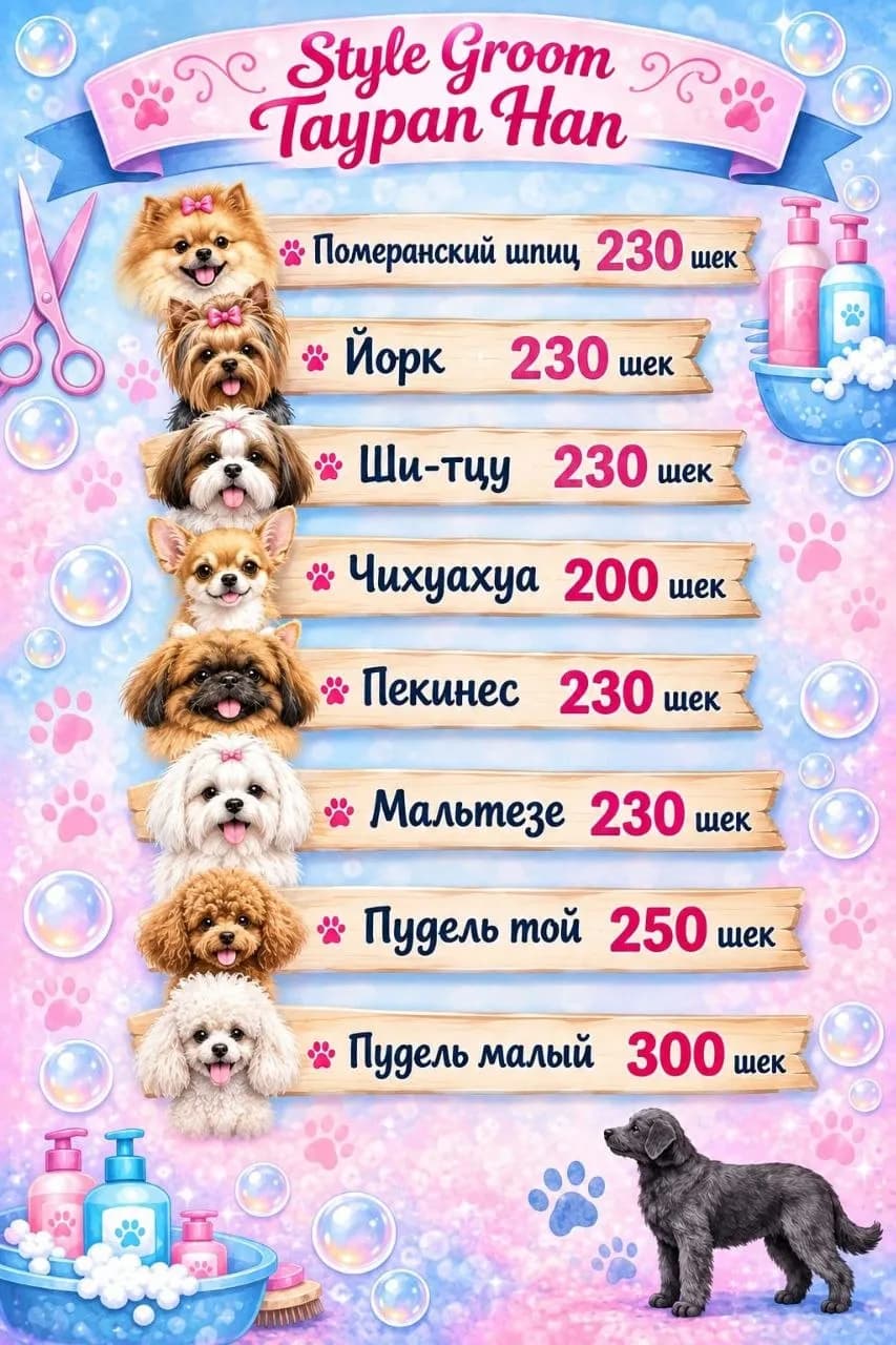 Taypan Han Style Groom — Dog and Cat Grooming