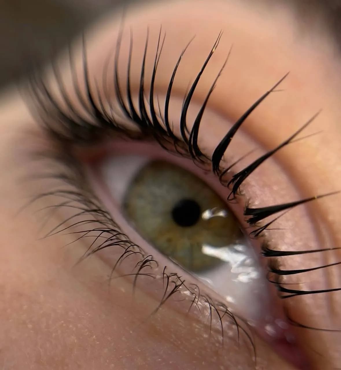 Tatiana Taldin — Brows and Lashes