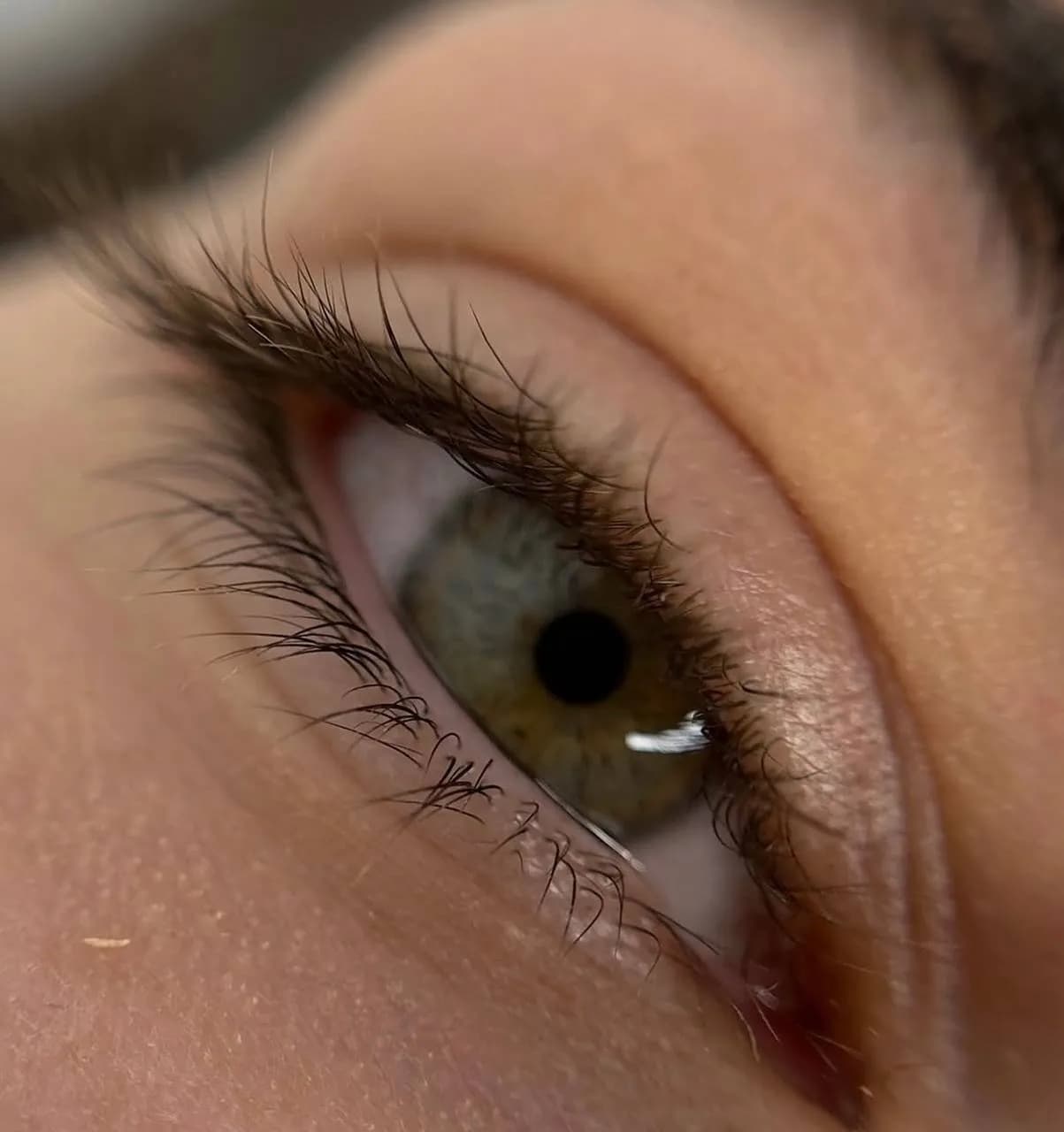 Tatiana Taldin — Brows and Lashes