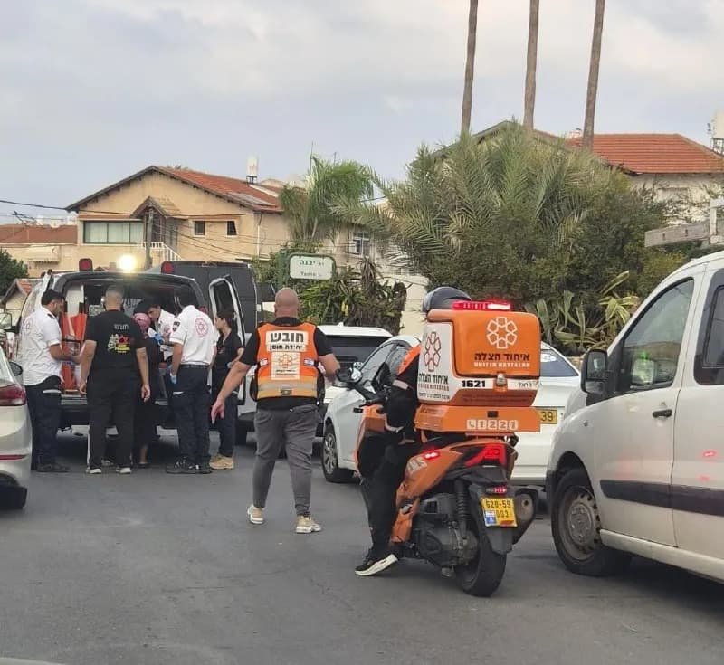 ילד בן 7 נפצע קל לאחר שננשך על ידי כלב באשקלון